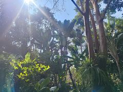 -中国科学院西双版纳热带植物园