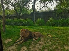 -北京野生动物园