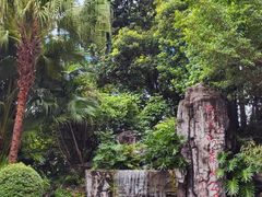 -广州市流溪河国家森林公园