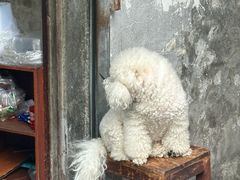 -南门黄孃甜不辣