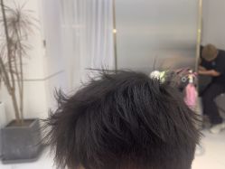-FASHION PALACE hair+