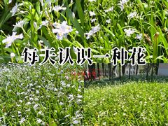 -浙江大学(玉泉校区)