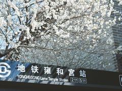 -雍和宫(地铁站)