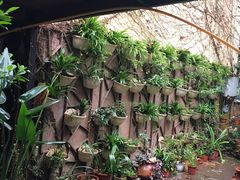 -宅里香.自然餐厅(湘大店)