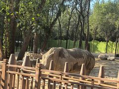 -北京野生动物园
