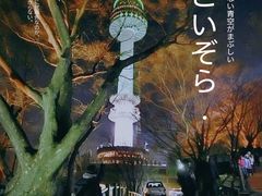 -乐天免税店(明洞店)