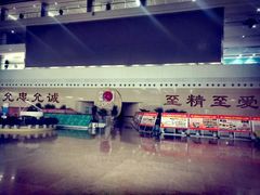 -中国人民解放军总医院(301医院)