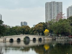 -荔湾湖公园