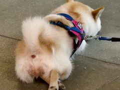 -聚健身GatherFitness(余杭店)