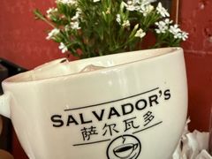-萨尔瓦多Salvador's