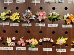 -南京市民俗博物馆(甘熙故居)