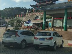 -西霞口神雕山野生动物世界