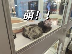 -太原茂业天地购物中心