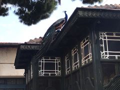-安塔利亚博物馆