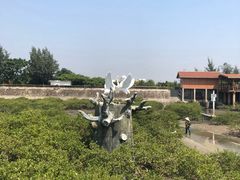 -北海金海湾红树林生态旅游区