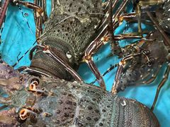 -台山侨雅海鲜粥底火锅(台山侨雅花苑店)