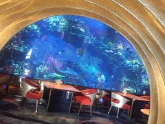 -迪拜帆船酒店海底餐厅