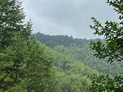 -仙霞关景区