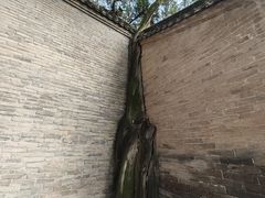 -仓颉庙