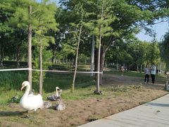 -北龙湖湿地公园