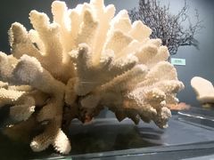 -天津自然博物馆