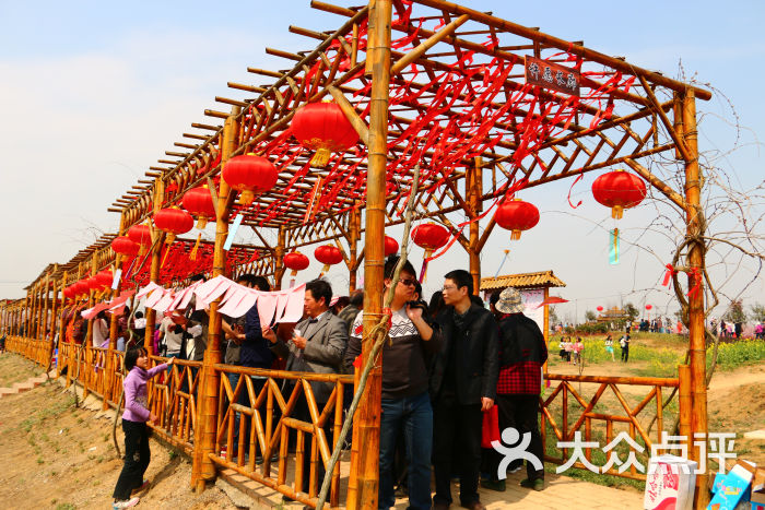 桃蹊农场三十岗基地图片 - 第92张