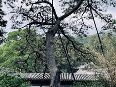 -香山公园
