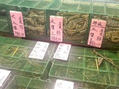 -荔城生鲜盛宴(番禺旗舰店)