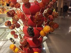 -南湖宾馆·鸳湖阁全日制餐厅