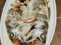 -老山东·山东菜(鲁菜名店)