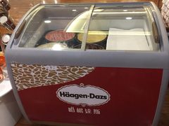 哈根达斯-桂林喜来登饭店雅琴餐厅