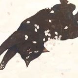 我想养猫猫，也想画猫猫
