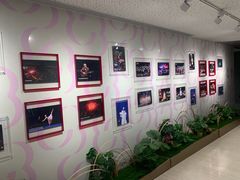 -交通银行前滩31演艺中心