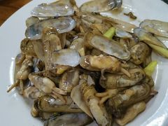 -小叶大馅饺子城