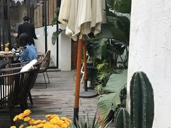 -云里小坐·小院里·团建·宴请·下午茶(三圣乡店)