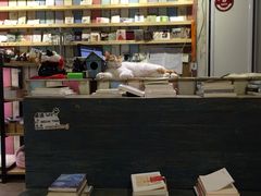 -小时光咖啡馆(开森度假森林店)