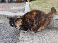 -幸福西饼生日蛋糕·下午茶(闵行店)