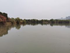-长兴太湖图影湿地文化园