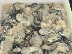 海蛎子-东海顺风肥牛海鲜火锅(哈工大店)