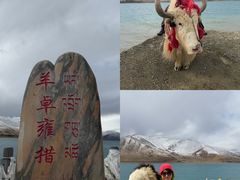 -羊卓雍措