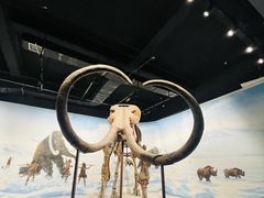 -辽宁古生物博物馆