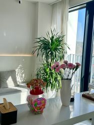 -Hello Lady发型设计