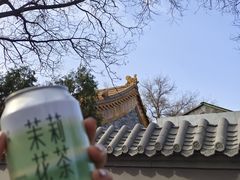 -南锣鼓巷