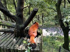 -云南野生动物园
