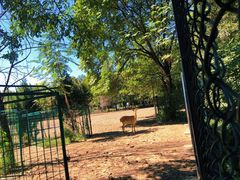 -北京麋鹿生态实验中心