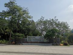 -王借岗森林公园