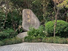 -福建鲤鱼洲酒店