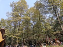 -石燕湖生态旅游景区