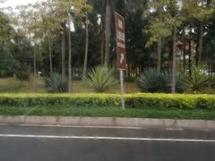 -海珠儿童公园