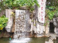 -广州市流溪河国家森林公园